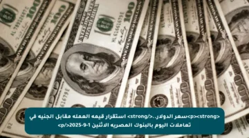 <p><strong>سعر الدولار..</strong> استقرار قيمة العملة مقابل الجنيه في تعاملات اليوم بالبنوك المصرية الاثنين 1-9-2025</p>